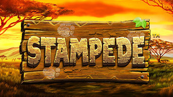 Stampede