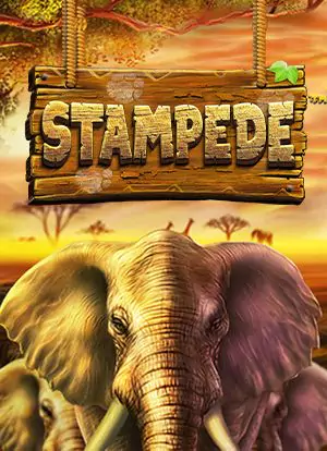 Stampede