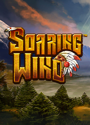 Soaring Wind