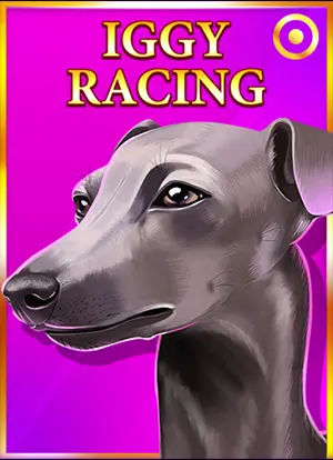 Iggy Racing