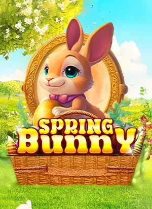 Spring Bunny