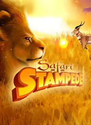 safari stampede