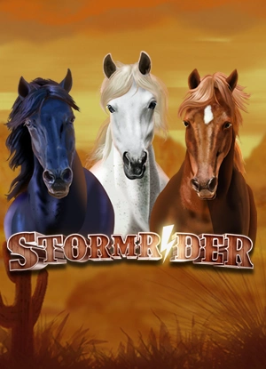 Storm Rider