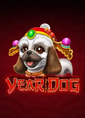 year of the dog