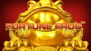 Fortune Frog Slot by Dragon Gaming
