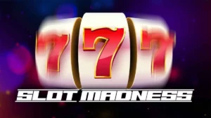 Slot Madness Slot Game by DGS