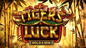 Tiger's Luck Hold & Win Slot Online