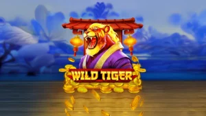 Wild Tiger Slot Information - 97.16 % RTP