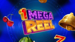 1 Mega Reel Slot Information