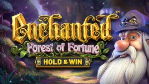 Enchanted Forest of Fortune Slot Information: RTP 96.20%