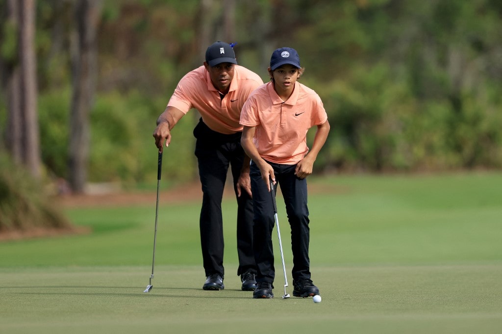 Tiger vs Charlie: Who Wins?