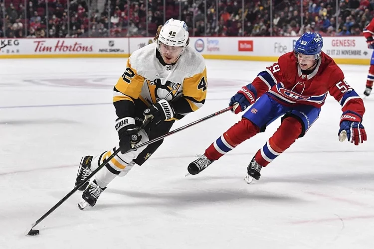 Penguins vs Ducks Game Preview, Odds, Picks & Predictions