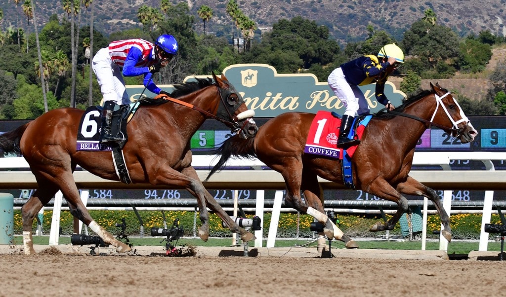 Baffert Eyes Beholder Stakes with Duo