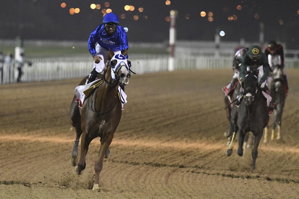 Life is Good for Dubai World Cup Bettors