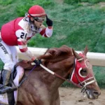 Kentucky Derby Winner Rich Strike Won’t Run in Preakness Stakes