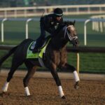 Favorite at Center of Kentucky Derby Selections
