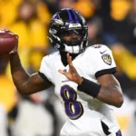 Baltimore Ravens Roster Update