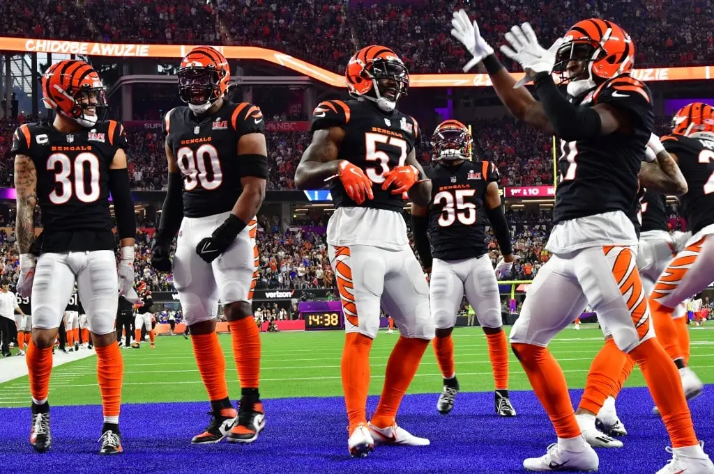 NFL Team Reviews: Bengals