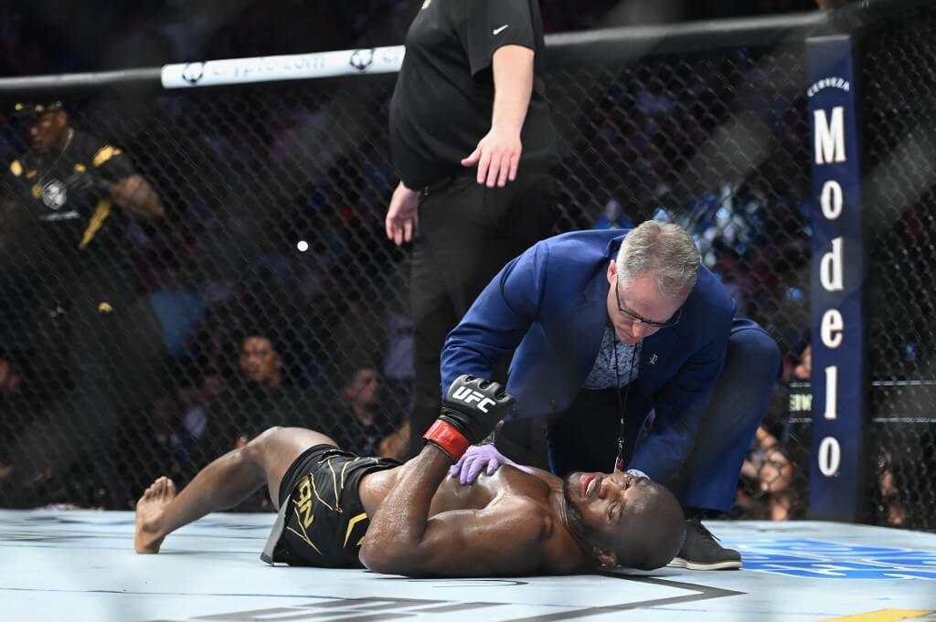 UFC 278 Betting Recap