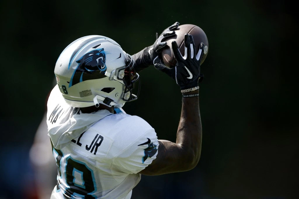 NFL: Carolina Panthers Roster Update