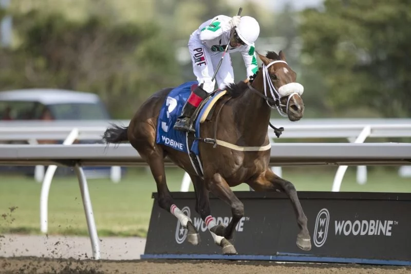 Horsin’ Around Across North America: Filly Moira Favored in Queen’s Plate