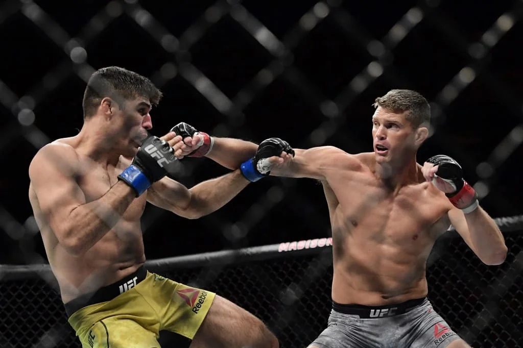 Stephen Thompson (r) fights against Vicente Luque