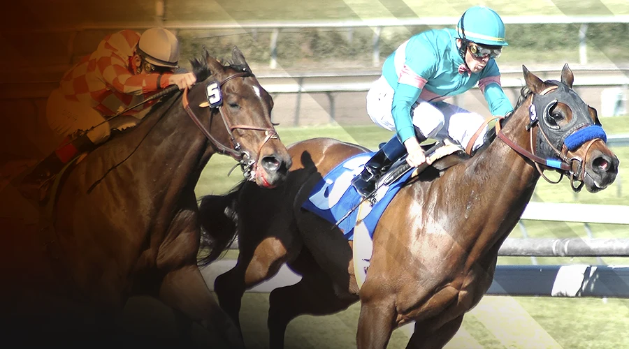 Jackie’s Warrior Bids Racing Adieu in Breeders’ Cup Sprint