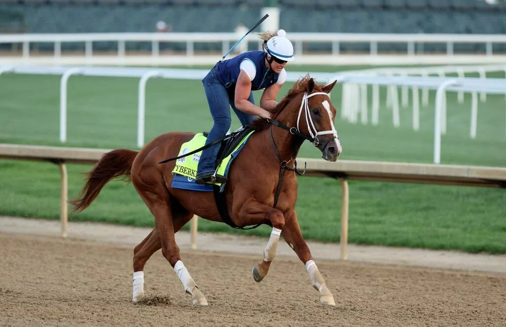 Cyberknife during the morning training for the Kentucky Derby | Andy lyons/getty images/afp