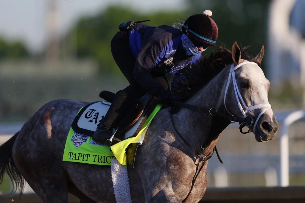BetUS Horse Racing Writers Provide Expert Picks for 149th Kentucky Derby