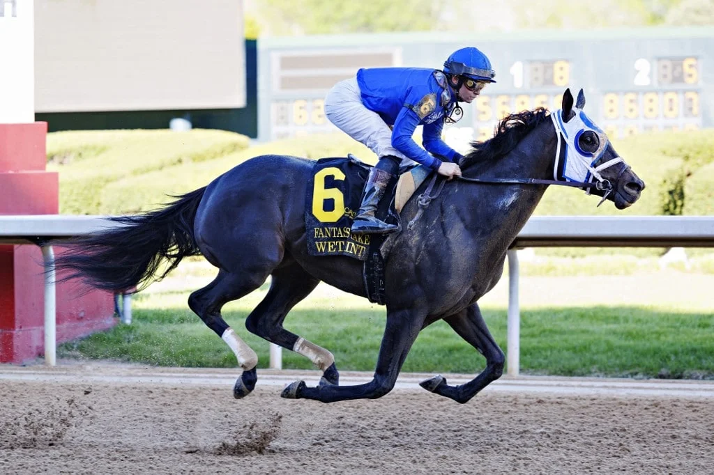 Wet Paint To Brush Aside Kentucky Oaks Opposition