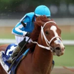 Forte Heads Talented Group of Nine Signed Up To Run In Belmont Stakes