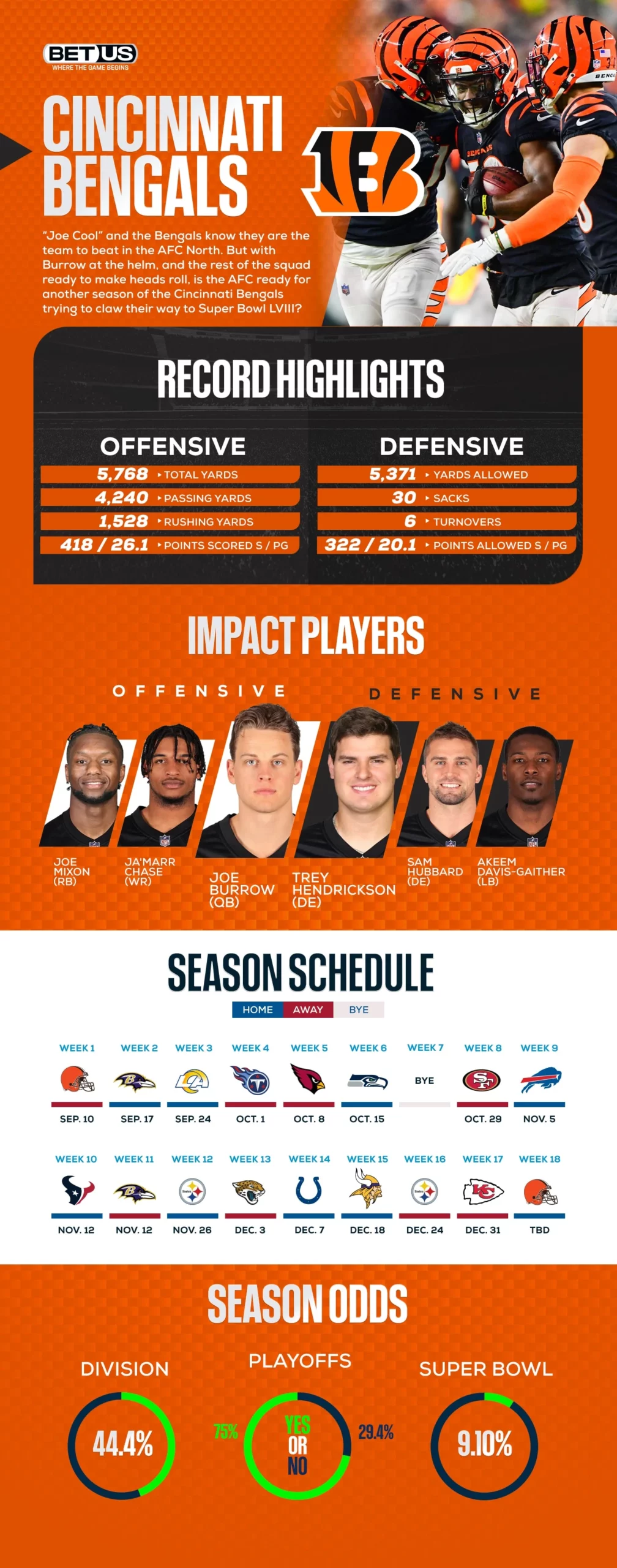 Infographic NFL Bengals