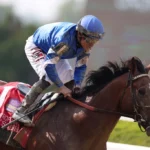 Cody’s Wish Heavily Favored to Win Whitney Stakes at Saratoga