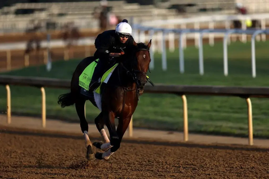 BetUS Horse Racing Writers Offer Kentucky Derby Expert Picks