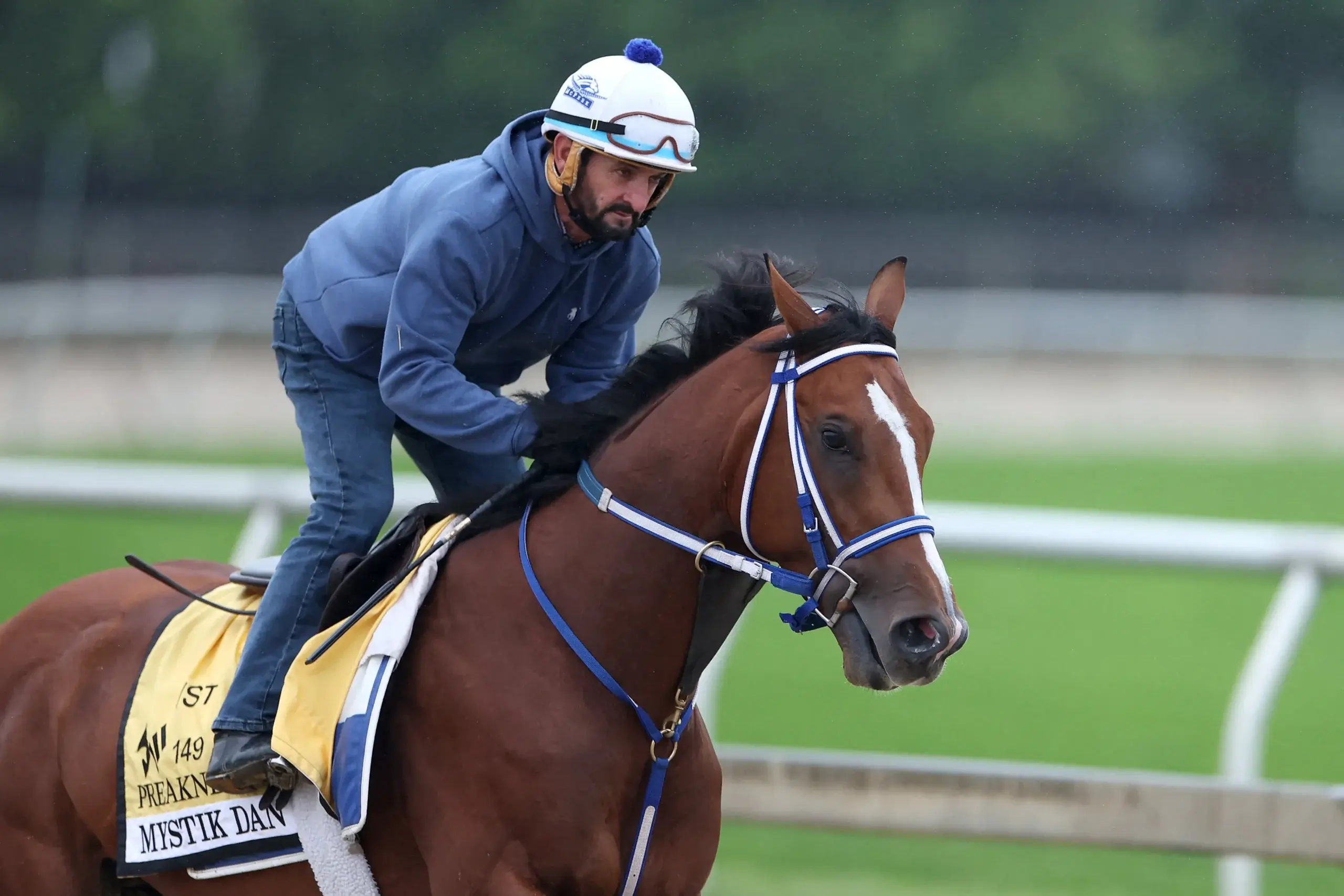 Preakness All Stakes Pick 5 Provides Bang for Your Half-Buck