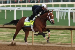 Kentucky Derby Predictions and Picks for May 3rd: Journalism to Make Headlines