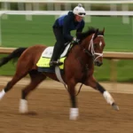 Trifecta Horse Racing Betting Rules and Payouts