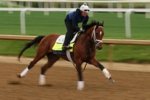 Trifecta Horse Racing Betting Rules and Payouts