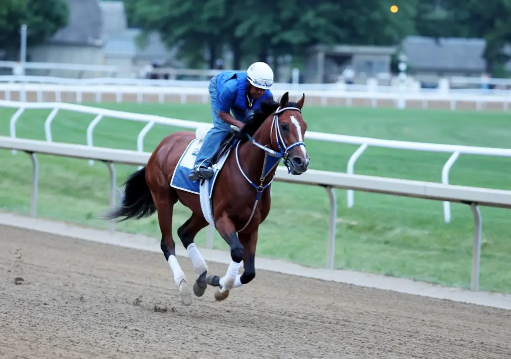 Who Will Win the 2025 Kentucky Derby? Bet Luxor Cafe (+1000) at Square Price
