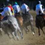 Black-Eyed Susan Predictions and Picks, 5/16: Reply a Must for This Bet