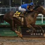 Fastest Horse Breeds and Top Racing Breeds