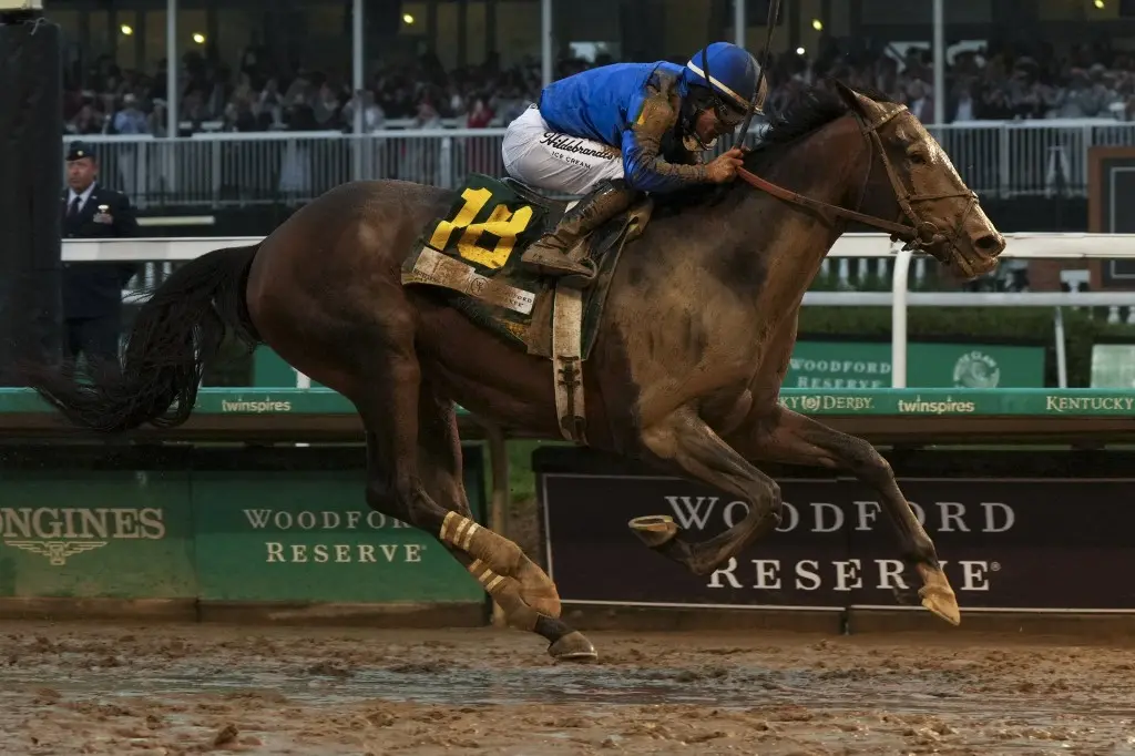 Fastest Horse Breeds and Top Racing Breeds