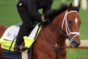 Kentucky Derby Predictions, May 03: Journalist (+290) Best Bet