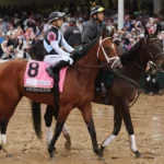 Preakness Stakes Predictions and Picks, May 17: Journalism (-110) Headlines Best Bets