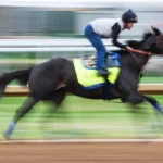 Who Will Win 150th Preakness Stakes? Not Kentucky Derby winner Sovereignty!