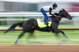 Who Will Win 150th Preakness Stakes? Not Kentucky Derby winner Sovereignty!