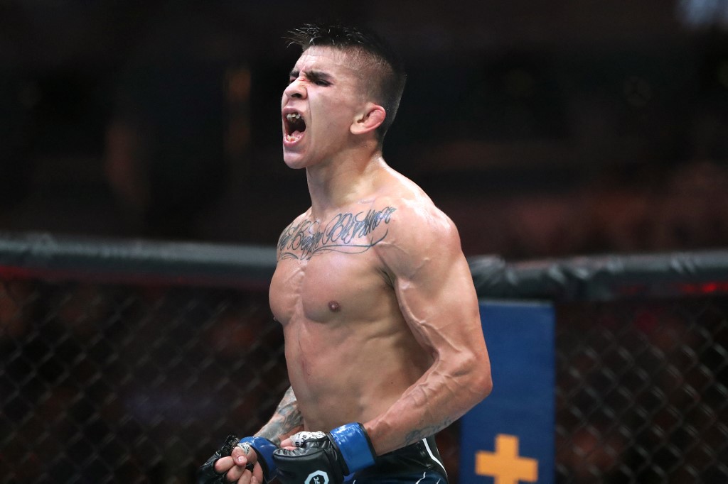 Bautista vs Mix UFC 316, Prediction and Picks For June 7 : Add Submission (+230) to Betting Mix