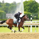 Belmont Stakes Picks and Predictions, 6/7: Bet Journalism (+175) to Get Revenge