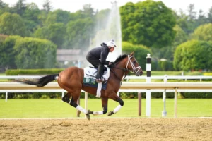Belmont Stakes Picks and Predictions, 6/7: Bet Journalism (+175) to Get Revenge