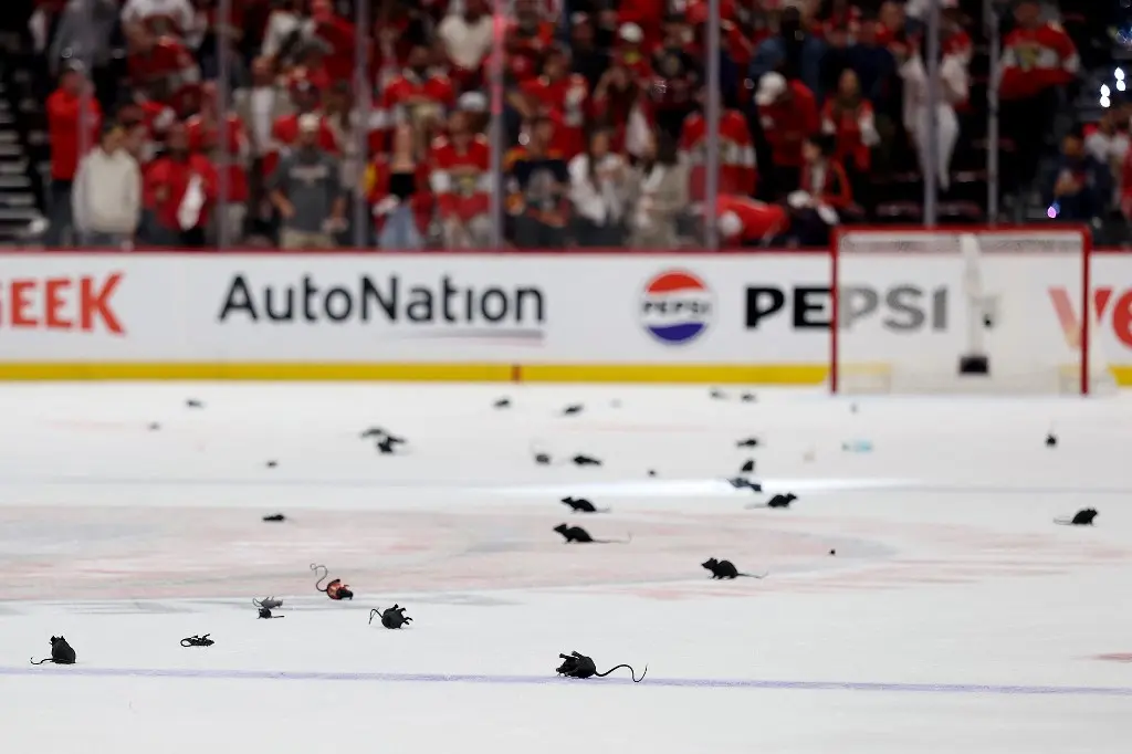 The Story Behind the Florida Panthers&#8217; &#8216;Rat Trick&#8217; Tradition